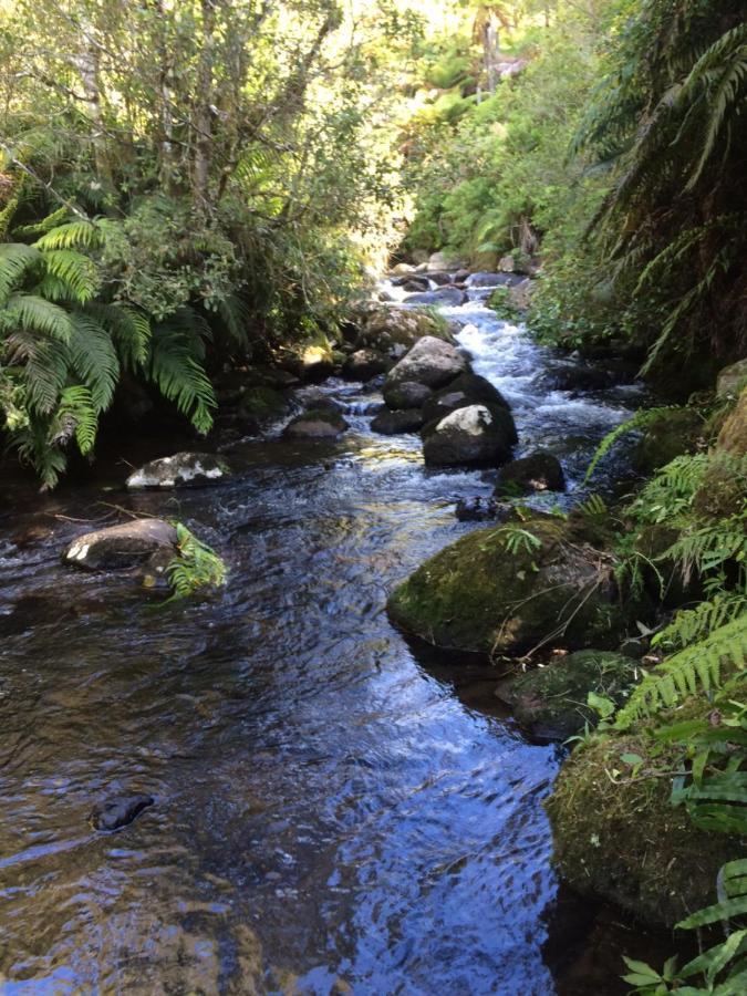 Raurimu Tui Glen 빌라 외부 사진